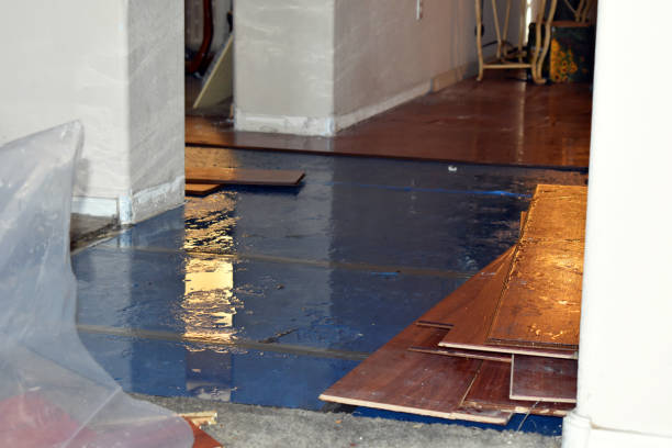 Professional Flood Cleanup technician working in Linden, MI