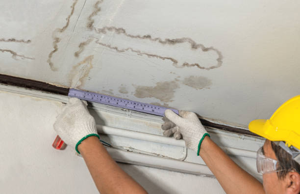 Reliable Flood Cleanup contractor in Linden, MI by Water Damage Irwin